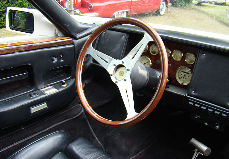 Panther 6
